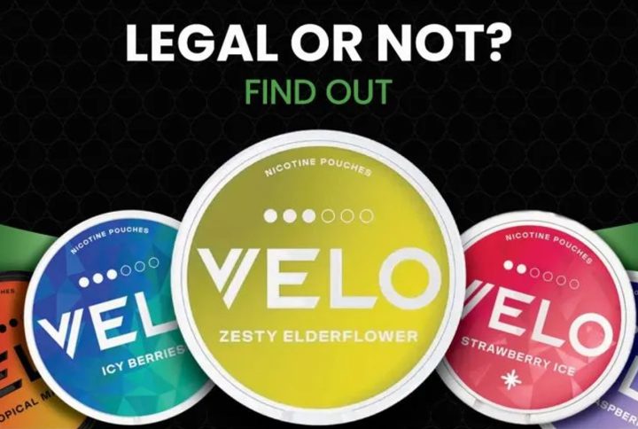 Are Nicotine Pouches Legal In The Uae? Here’s What You Need To Know